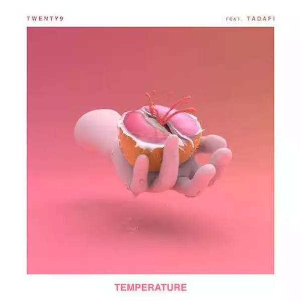 Twenty9 - Temperature (CDQ) Ft. Tadafi